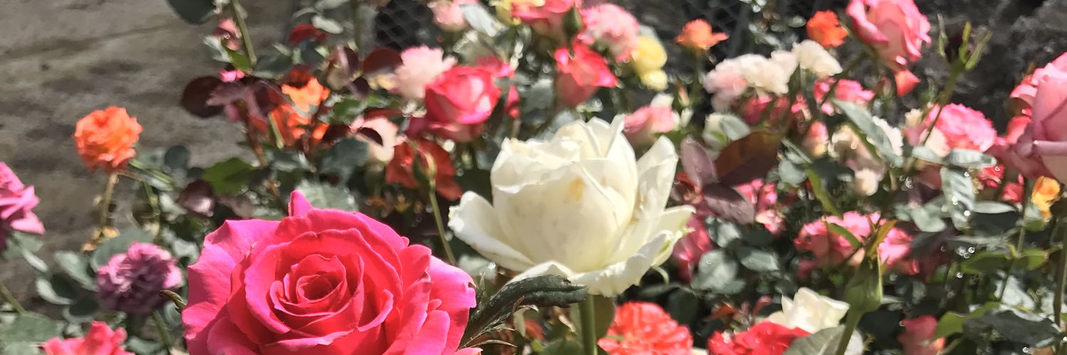 gabrielagmx's profile banner image
