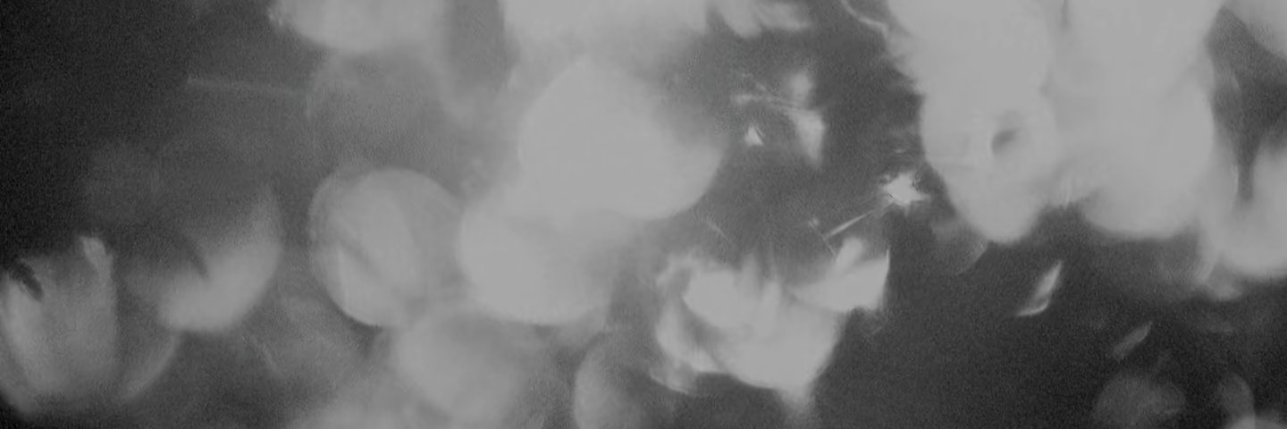 skelly's profile banner image