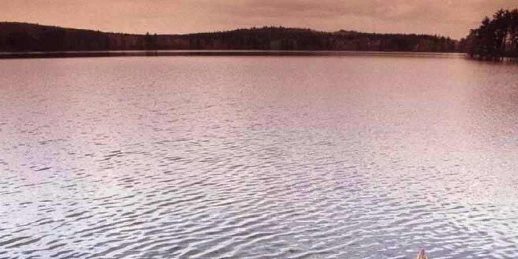 faz1431's profile banner image
