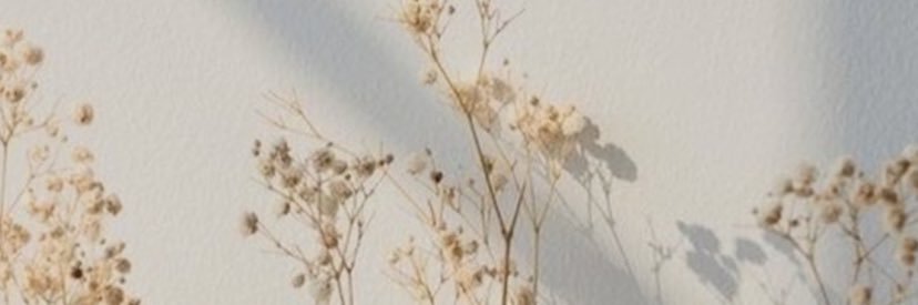 enneacca's profile banner image