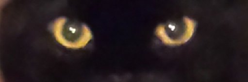 Barcasaur's profile banner image