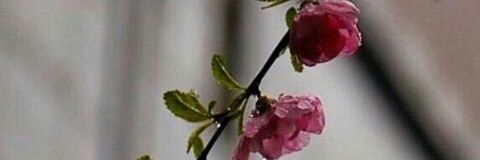 ezeesel7yat's profile banner image