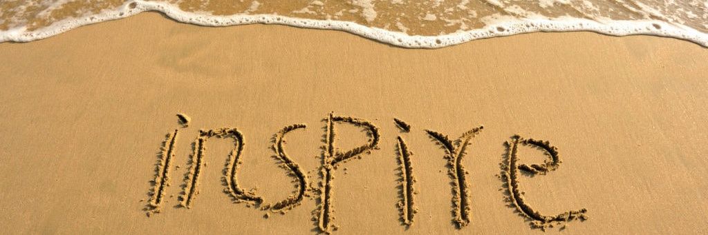 Steve 🇿🇼 banner