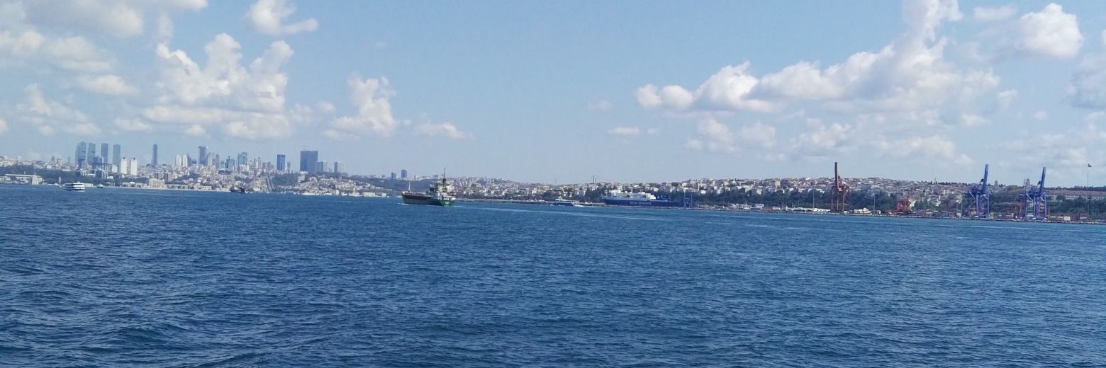 BaleeghSady's profile banner image