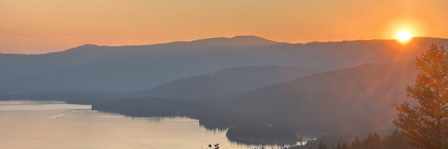 Dingus McMillan banner