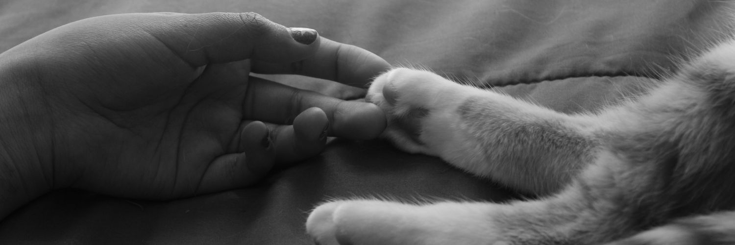 laguna_mental_'s profile banner image
