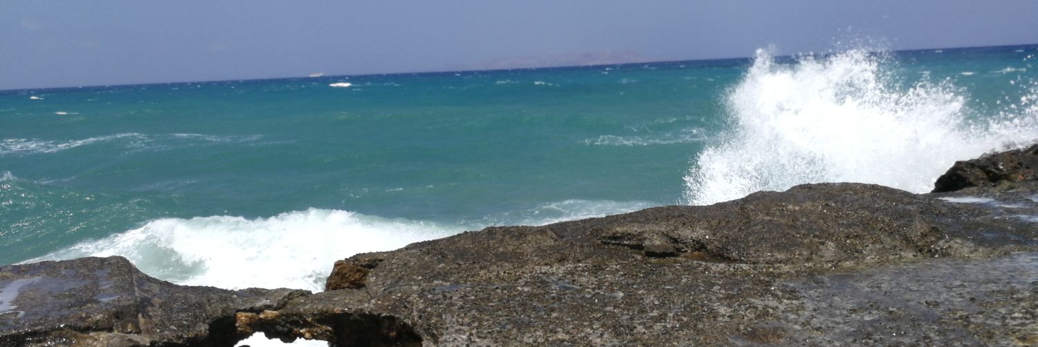 Mandyyyx's profile banner image