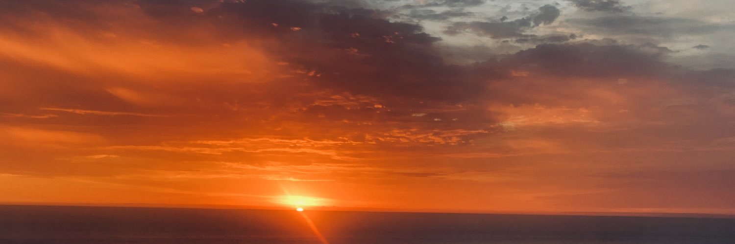 leonorbaeza's profile banner image