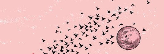 GeraldineBe's profile banner image