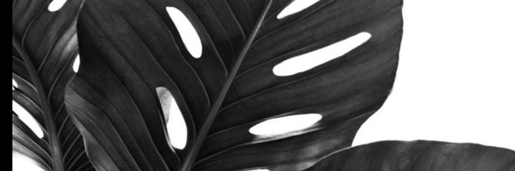 Chrissy.K banner