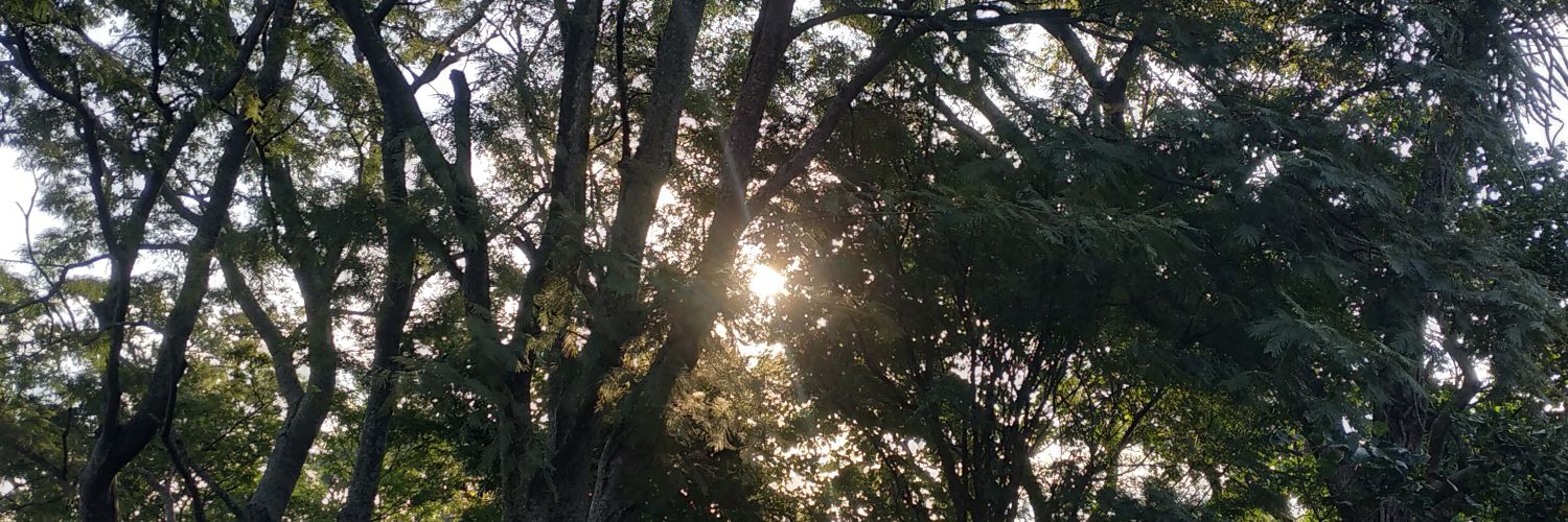 DearBelen's profile banner image