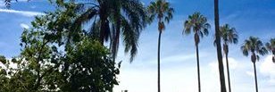 ccaceresd's profile banner image