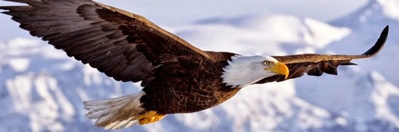 cristobal21's profile banner image