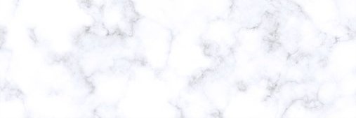Verónica Vizcaíno banner