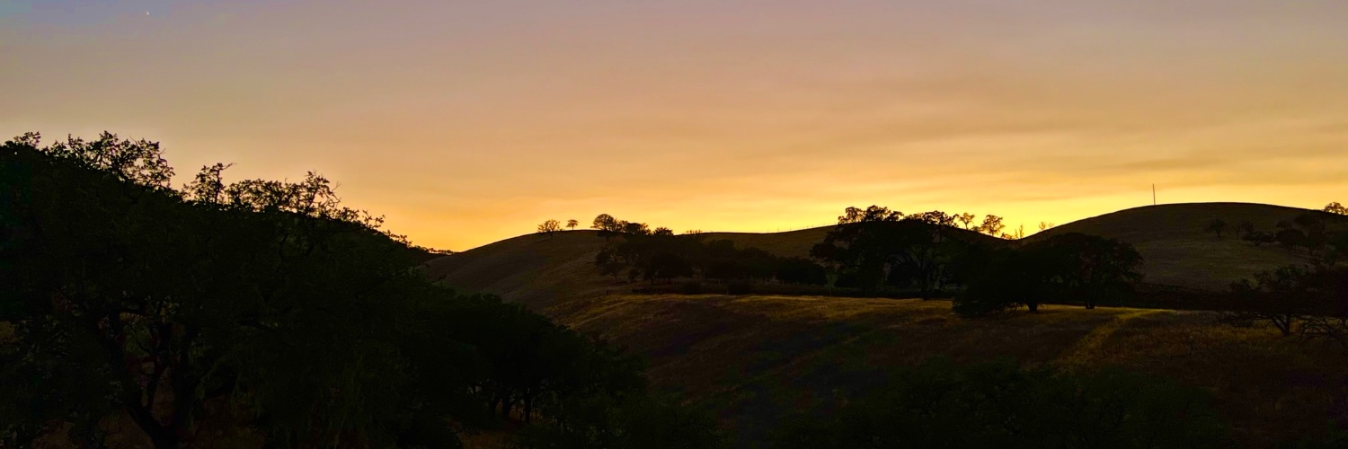 Marcus Cavanaugh banner