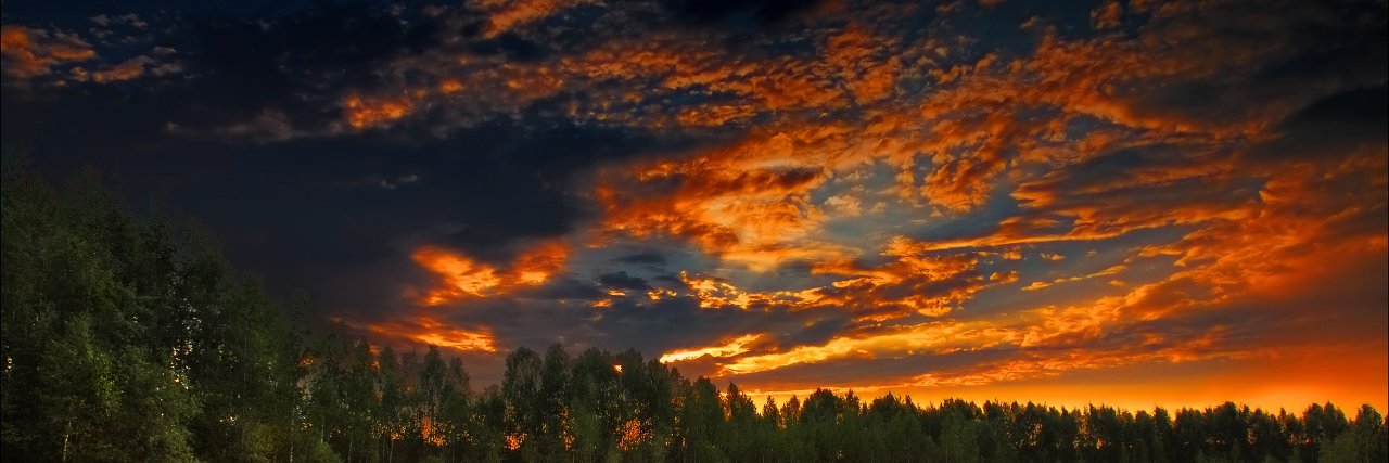 Roman Vap (🍎👀) banner