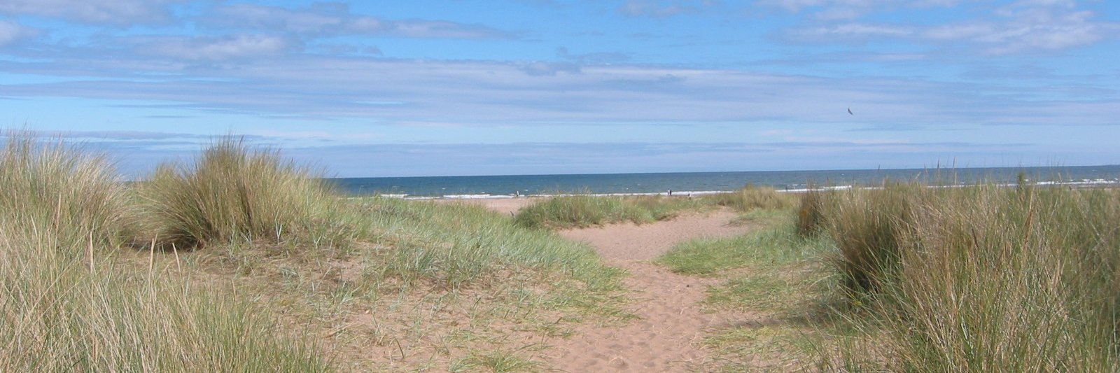 Lagoons For Life banner