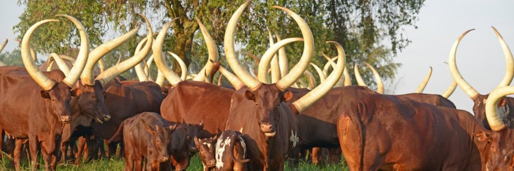 stuartradingltd's profile banner image
