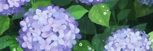 accebuoyevoli's profile banner image