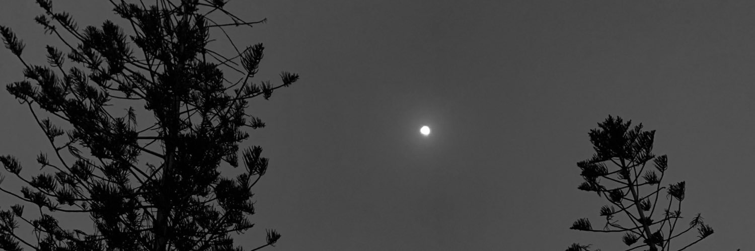 souldin_'s profile banner image