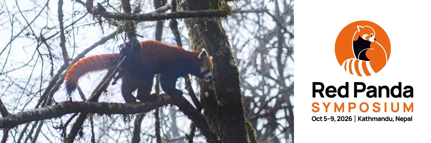 Red Panda Network banner