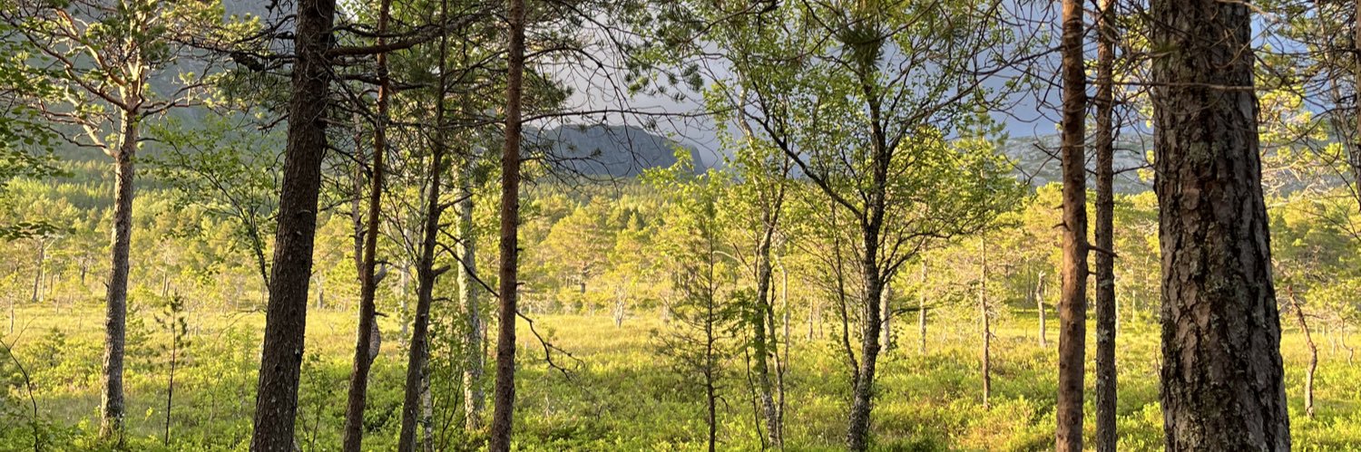 Dr. Jon Testicle banner