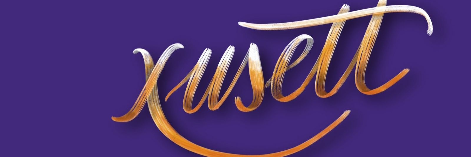 xusett's profile banner image