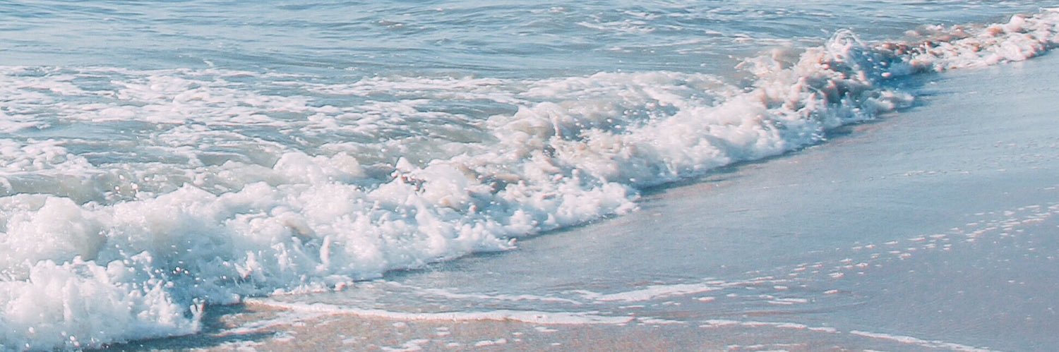 webbsami's profile banner image
