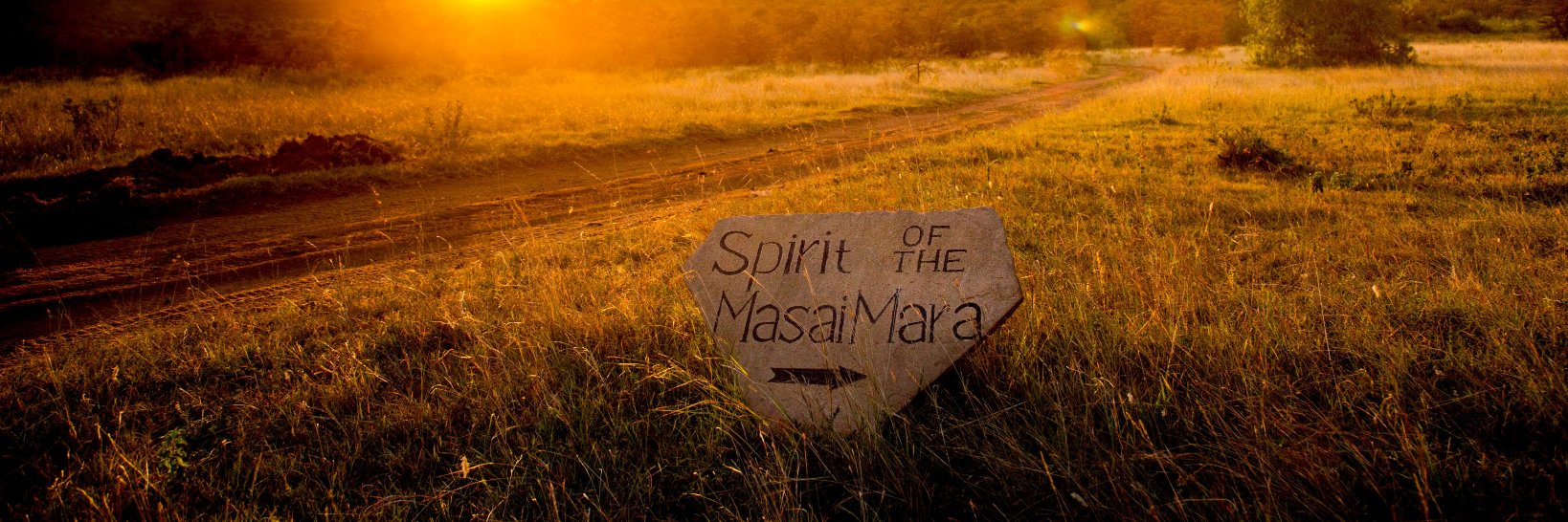 SpiritoftheMara's profile banner image