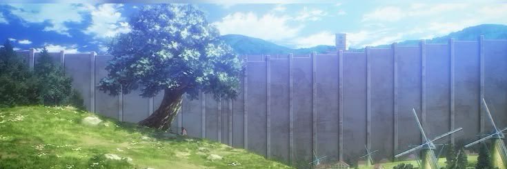 ace🍒 banner