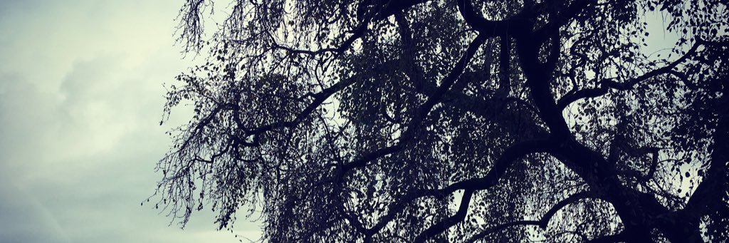 müge uçan canan banner