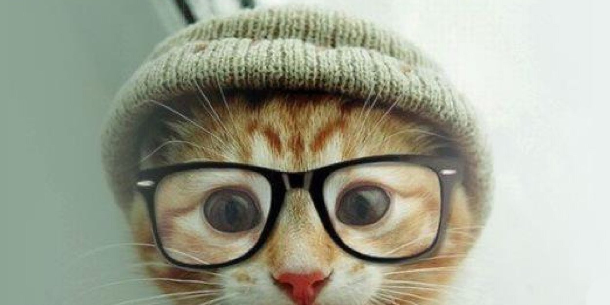 #SpanishJusticeIsAJoke #EuropeToo banner