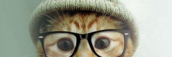 willylopsol Profile Banner