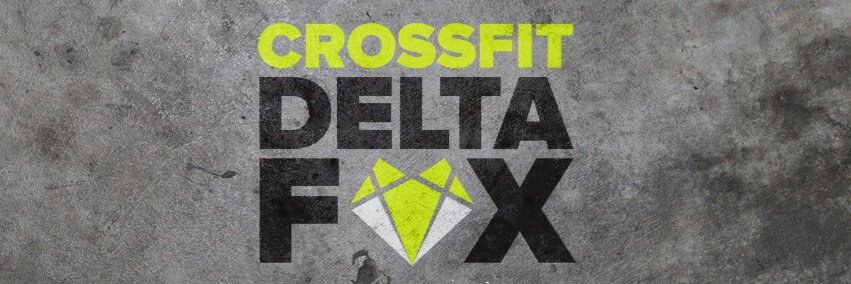 CFDeltaFox's profile banner image