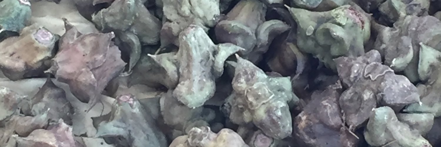 datia69's profile banner image
