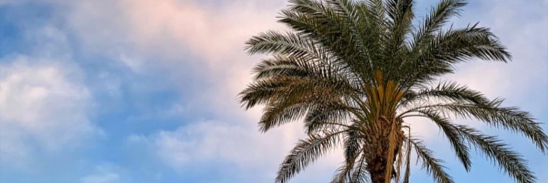 bestekrl's profile banner image