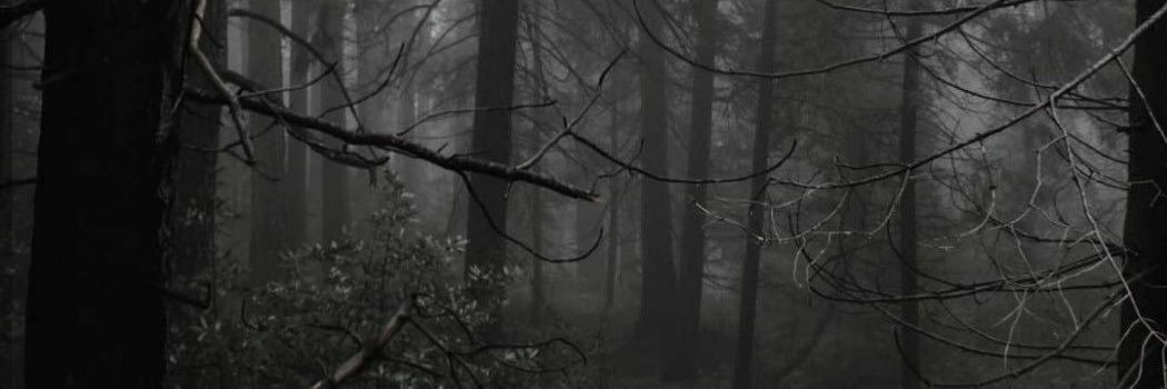 I__AsmaE's profile banner image