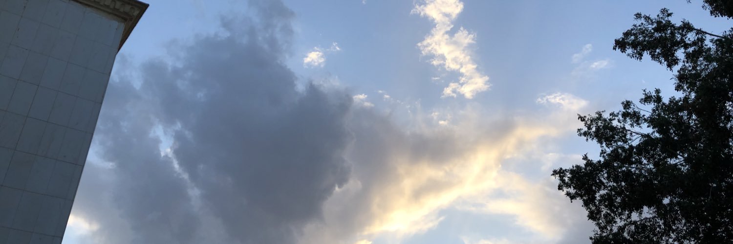 Elllllaf's profile banner image