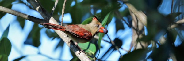 Kim08948904 Profile Banner