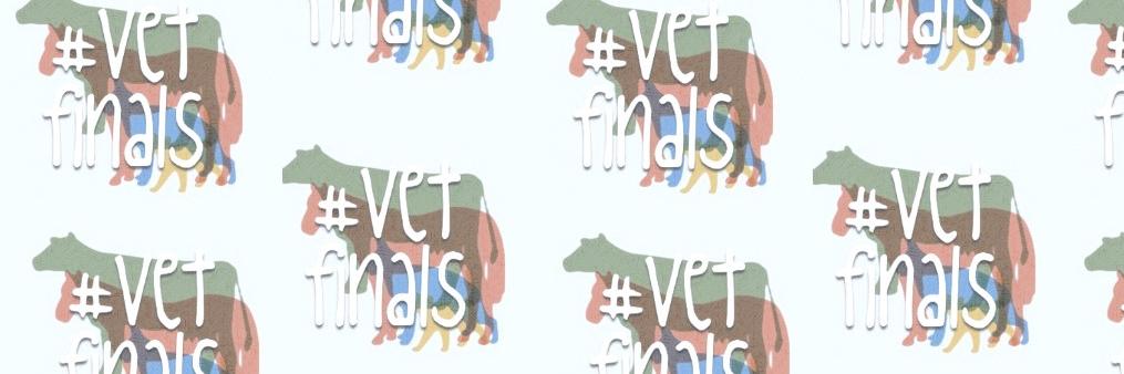 VetFinals's profile banner image