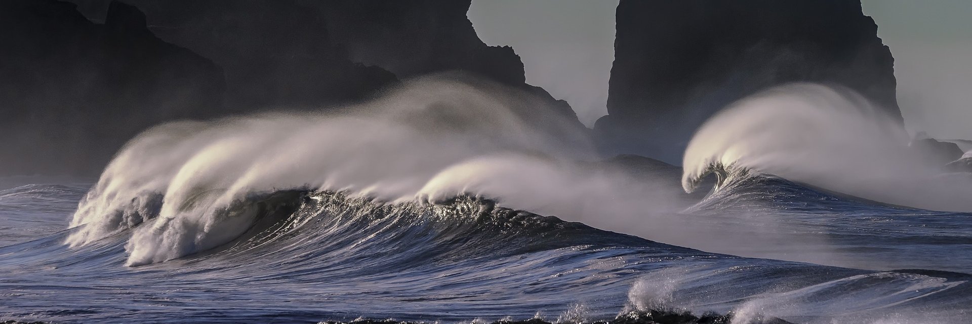 Sentiment Music banner