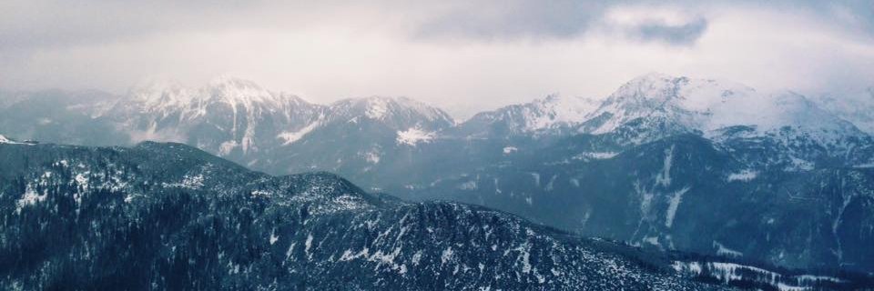 elizabeth_kko's profile banner image