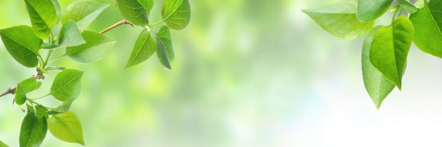 funny_vampire11's profile banner image