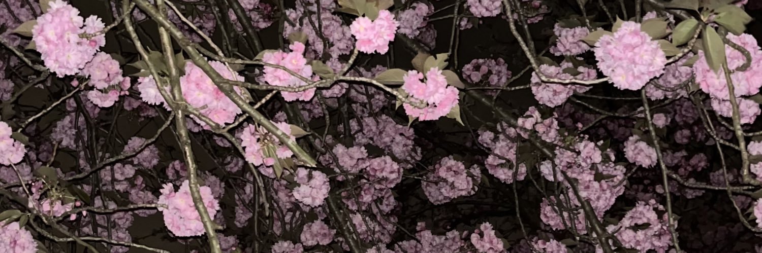 ohyeahitsbel's profile banner image