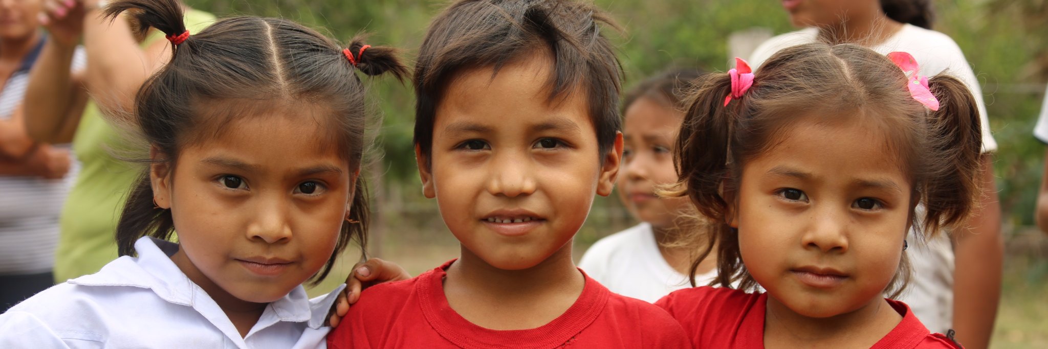 AlmaFoundation's profile banner image