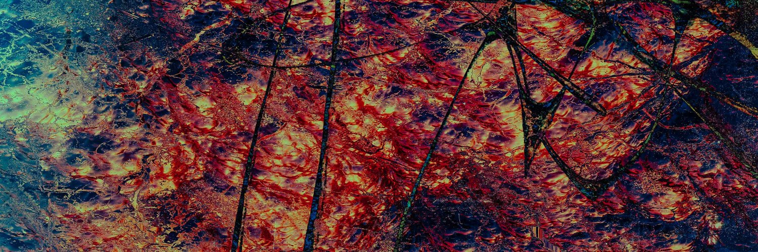 segeramusic's profile banner image