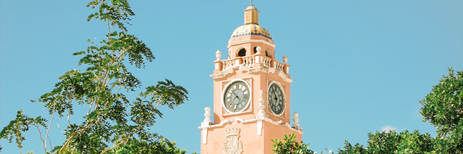 Taquito 🇲🇽 banner