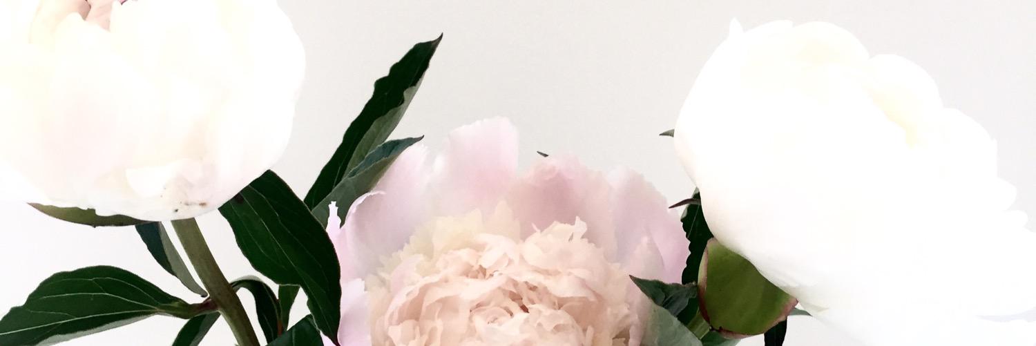 sherylsong's profile banner image