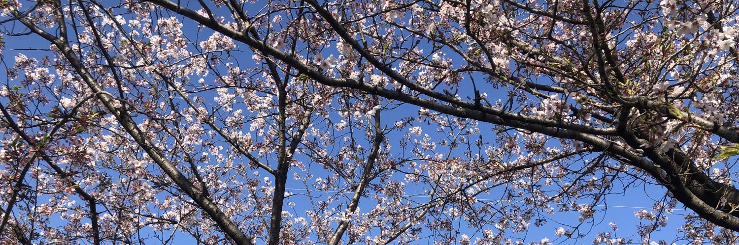 katabutu_g3's profile banner image