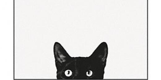 onbulak's profile banner image